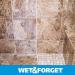 Wet & Forget Shower Cleaner 64oz (2 Pack) | No Scrubbing, Bleach-Free Formula | Ready to Use Weekly Application - Buy Online on GoSupps.com