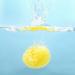 Premium Greek Honeycomb Natural Sea Sponge for Body Shower - Yellow 3.5 Inch Plus - Buy Online on GoSupps.com