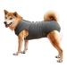 Dog divider breathable for surgical abdominal wounds and skin protection anti-losing cone e-neck band alternative after operations M (1-pack) gray
