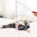 Fanshiontide 3 Packs Cat Wand Interactive Cay Toy Cat Feather Toys with Plush Balls and Bells Cat Teaser Wand for Indoor Cat Kitten Hunting Exercising Eliminating - Buy Online on GoSupps.com