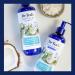 Buy Dr Teal's Coconut & Essential Oils Conditioner - 16 Fl Oz | International Shipping Available - Buy Online on GoSupps.com