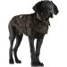 Shop Carhartt Men's Firm Duck Insulated Dog Chore Coat XL - Tarmac/Duck Camo | Durable Warm & Stylish for Outdoor Adventures - Buy Online on GoSupps.com