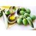  CARAVELLA FINE FOOD Pack of 12 Extra Virgin Olive Oil Caravella Classico 250ml - 100% Italian - Gourmet Exclusive Collection - Cold Extraction - New Fresh Harvest Olive Oil Campaign - Buy Online on GoSupps.com