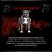Advanced Animal Care Dog Muscle Builder All Breeds Muscle Gainer for Dogs Dominate Bully Maximum Gain Strength Energy Chew - Buy Online on GoSupps.com