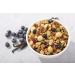 NuTrail Keto Vanilla Blueberry Nut Granola Cereal - Low Carb, Gluten Free, Grain Free - 3g Net Carbs - Almonds, Pecans, Coconut, Hazelnuts - 11oz Pack - Buy Online on GoSupps.com