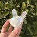 Home Decoration 90-100g White Flame Aura Quartz Crystal Cluster Specimen Chakra Stones Crystal Cluster - Buy Online on GoSupps.com