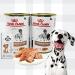 AETN Creations Bundle Pack of 2x400g Wet Gastrointestinal Veterinary Diet Dog Food for Adult Dogs with Long or short-term Digestive Sensitivities plus AETN Jerky Treat - Buy Online on GoSupps.com