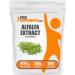 BulkSupplements.com Alfalfa Extract Powder - Alfalfa Supplement Green Superfood Powder - Vegan & Gluten Free Green Supplements - 500mg per Serving 250g (8.8 oz) (Pack of 1) 8.82 Ounce (Pack of 1)