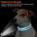 Buy Joytale Reflective Dog Collar for Large Dogs - XL Blue - Safe & Durable - Perfect for Night Walks (Pack of 1) - Buy Online on GoSupps.com