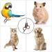 Professional Parrot & Cat Nail Clippers - Pet Claw Scissors for Small Animals & Kittens | Fast International Shipping - Buy Online on GoSupps.com