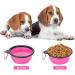 Coolon Collapsible Dog Bowl - Foldable Portable Water Bowl for Cats & Dogs 650ml Pink with Carabiners | Perfect for Travel - Buy Online on GoSupps.com