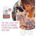 Revive Active Joint Care Tablets for Dogs and Cats 120ct Relieves Inflammation Promotes Optimal Growth and Development Joint Mobility and Good Health. Tablets 120ct - Buy Online on GoSupps.com