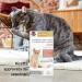 Doppelherz Cute and Hair Complex for Cats Support for Dermal Function in Case of Dermatosis and Excessive Hair Loss Omega-3+6 Biotin Vitamins B+E+A 25 Lick Creams - Buy Online on GoSupps.com