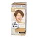 Liese Kao Bubble Hair Colour Prettia - Chiffon Brown