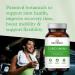Neutrient Theracumin & Boswellia Curcumin Capsules - High Absorption Formula - Buy Online on GoSupps.com