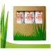 Forever Living Triple pack 3 x 1 Litre Aloe Vera Gel Blueberry Apple and Peach Pulp Flavour 100% Natural Pure Drinking Juice Tripack aloe vera peach