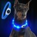 Laroo LED dog collar usb re -charged Night Safety dog collar luminous collar for small medium large and long -haired dog -3 mode (65cm*2.5cm) blue