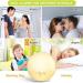 Light Alarm Clock with Sunrise Simulation | LED Wake Up Light & FM Radio | 7 Colors & Alarm Tones for Kids & Adults - Buy Online on GoSupps.com