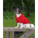 Idepet Dog Sweater - Warm Coat for Small Dogs & Cats | Chihuahua Puppy & Teddy Pudel | Red (L) - Buy Online on GoSupps.com