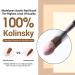 Modelones 3pcs Kolinsky Acrylic Nail Brush Set - Sizes 8/10/12 | For Acrylic Powder, Nail Extensions, 3D Nail Carving | Round Shaped Brushes with Wooden Handle - Buy Online on GoSupps.com