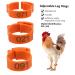 Buy Perfk 100x Poultry Leg Bands - Durable Chicken Leg Rings with Shield for Ducks - 100 Pieces for International Shipping - Buy Online on GoSupps.com