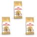 Royal Canin Bengal Adult Dry Cat Food 3 x 400g