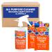 Truly Free Everyday Cleaner - All Purpose Natural Cleaner Spray Household Cleaning Supplies - 16oz Empty Spray Bottle 2 Refills (3 oz Each) Starter Kit