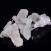 Natural White Quartz Health Reiki Stone Point Specimen Home Decor Raw Crystals HOMEZHOU (Color : Random Delivery Size : 120-150g) 120-150g Random Delivery - Buy Online on GoSupps.com