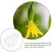 SUPVOX 9 pcs Gardening DIY Moldvegetable for Pear Shaped Multifunction Growing Accessories Mould - Buy Online on GoSupps.com