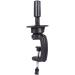 Training Head with Free Comb - Hairdressing Doll Head for Stylists | International Shipping - Buy Online on GoSupps.com