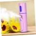 Healeved 2pcs LED Spray Device Lip Tint Facial Atomizing Beauty Instrument Cold Spray - Buy Online on GoSupps.com