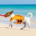 Convinit Dog Life Jacket - Waterproof Adjustable Life Jackets for Small Medium & Large Dogs - Perfect for Boating Swimming & Surfing with Reflective Strips & Handle - Orange - Buy Online on GoSupps.com