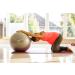 Wisemax Exercise Ball Chair Bundle - 65cm Gray with Ring Base, Resistance Bands, Pump, Carry Bag, Poster - Ideal for Home, Office, Gym Workouts - Buy Online on GoSupps.com