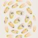 Medium Lemon Press-On Nails with Fruit Designs - Yellow False Nails for Women and Girls - Buy Online on GoSupps.com
