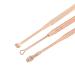 VOCOSTE 6Pcs Stainless Steel Ear Cleansing Tool Set with Storage Case - Rose Gold Tone | Ear Care Kit - Buy Online on GoSupps.com
