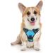 Rabbitgoo dog harness medium -sized dogs anti train crockery dog with control no pull adjustable dog dishes large dogs breathable reflex stripes breast harness dog safe guide light blue m (1 Pack) light blue