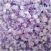 Natural Crystal Rough 100g Natural Amethyst Raw Quartz Small Cluster Stone Crystal Point Home Decor Raw Crystals Crafts (Size : 60g) - Buy Online on GoSupps.com