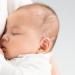 Sanfe Elephant Protruding Ear Corrector - Orthopedic Baby Item for Newborns - Pinna Locator for Large Ear Correction - Buy Online on GoSupps.com