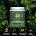 Organic Greens Powder Superfood Complex | Organic Super Greens Powder from Raw Juice with Probiotics Moringa Leaf & Electrolyte Minerals | Vegan Non-GMO No Added Sugar (Mint 45 Servings) Mint 7.88 Ounce (Pack of 1) - Buy Online on GoSupps.com
