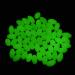 Glow Oval Fishing Beads 100pcs - Luminous Green Floating Lures 10mm x 18mm - Buy Online on GoSupps.com
