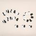 24pcs Short False Nails Black White Stick on Press on Removable Glue-on Fake Nails Nail Art Accessories - Buy Online on GoSupps.com