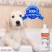 Curaseb Chlorhexidine 4% Shampoo for Dogs & Cats - 12 Oz | Maximum Veterinary Strength Formula - Buy Online on GoSupps.com