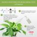 Huile de neem avec mulsifiant - Buy Online on GoSupps.com