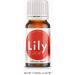 Organic Lily Essential Oil Blend | 100% Pure Botanical Aroma Blend with Soft Floral Notes | for Diffuser Candle Making & DIY Aromatherapy Blends 0.34 fl oz Lily 0.34 Fl Oz (Pack of 1) - Buy Online on GoSupps.com