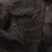 Durable Full-PU Wigs for Men | No Hair Loss Remy Hair Replacement System | Custom Size 8x10 #2 - Buy Online on GoSupps.com