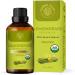 Carno Calm Lemongrass Essential Oils for Diffuser |100% Pure and Natural Lemon Grass Oil | for Hair Massage Spray Aromatherapy and Skincare | 30ml Lemongrass 30 ml (Pack of 1) - Buy Online on GoSupps.com