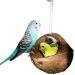 Swing for budgies & cockatiels | Bird swing coconut | Budgie accessories