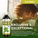 USDA Organic Guayusa Loose Leaf Extract - Natural Caffeine Energy Drink for Energy Mood & Concentration - 12oz Made in USA - Buy Online on GoSupps.com