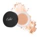 Oulac Misty Filter Loose Setting Powder Effortless Application with Powder Puff Filter-Like Natural Matte Finish Up to 8hr Ivory (03) 8.3G