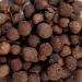 Splendor Garden Organic Allspice Whole - 454 g - Buy Online on GoSupps.com